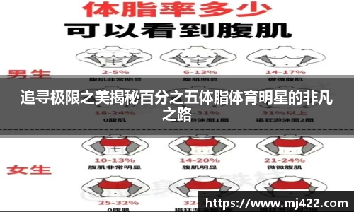 1xbet体育平台