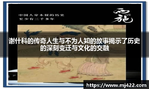 谢什科的传奇人生与不为人知的故事揭示了历史的深刻变迁与文化的交融